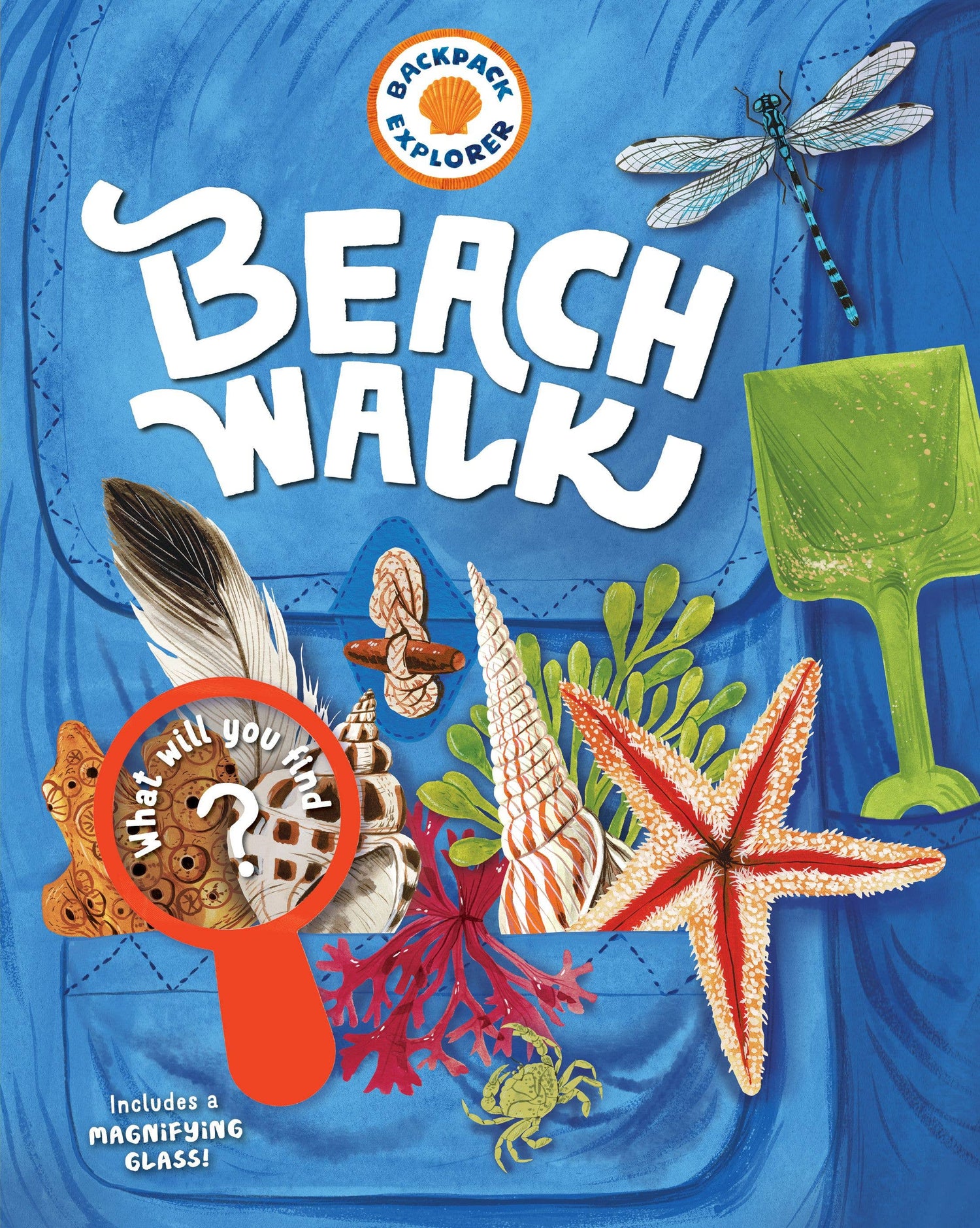 Hachette Book Group - Backpack Explorer: Beach Walk: Paper Over Board