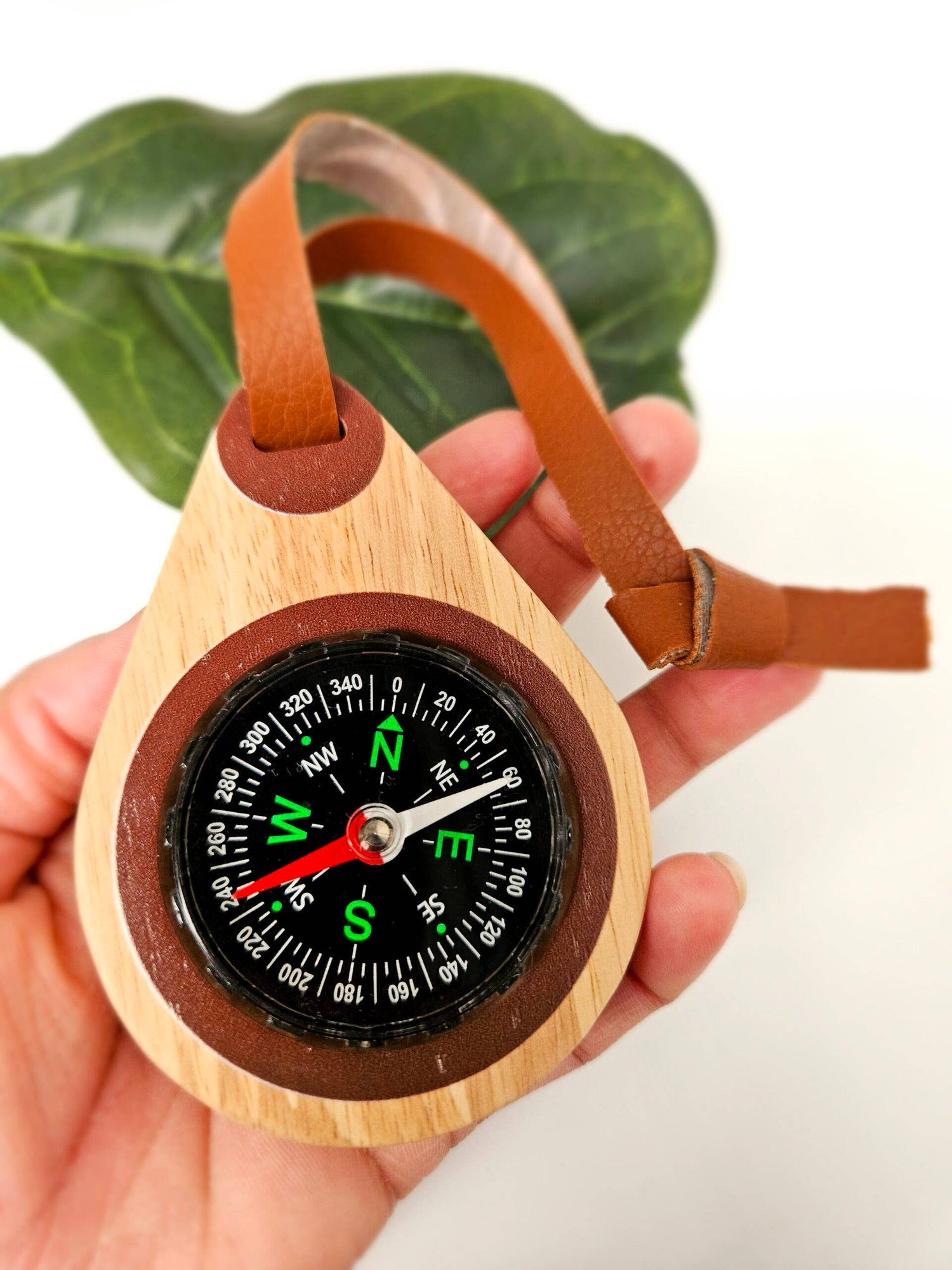 QToys - Wooden compass