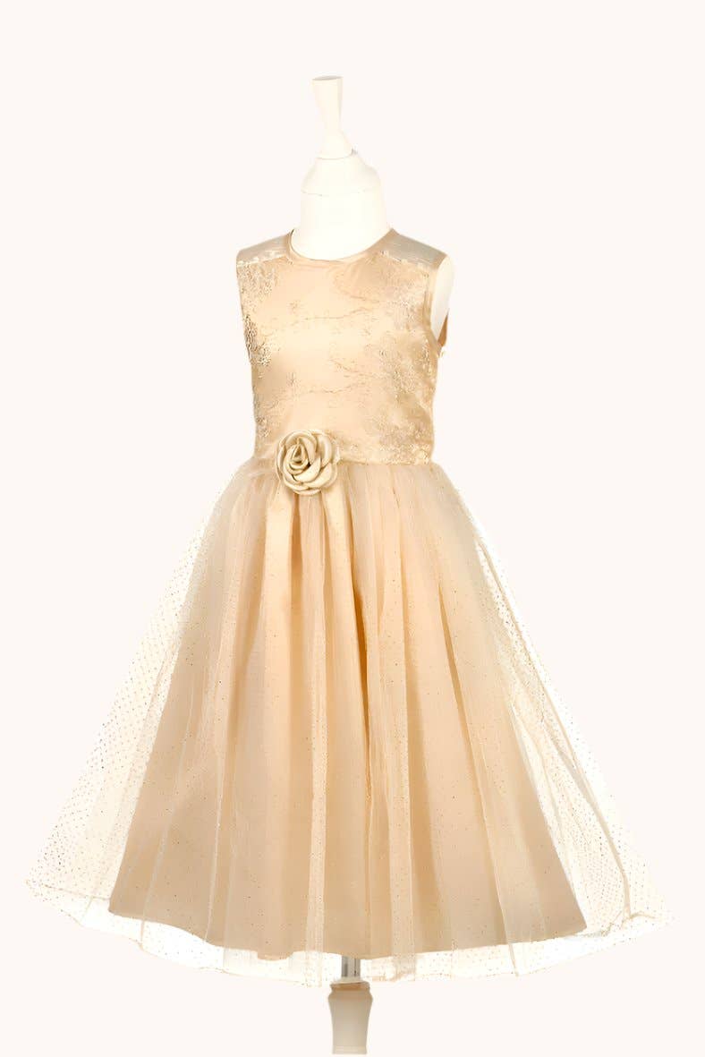 Noraline Fancy Gold Dress Sz 5-7 years | Souza!