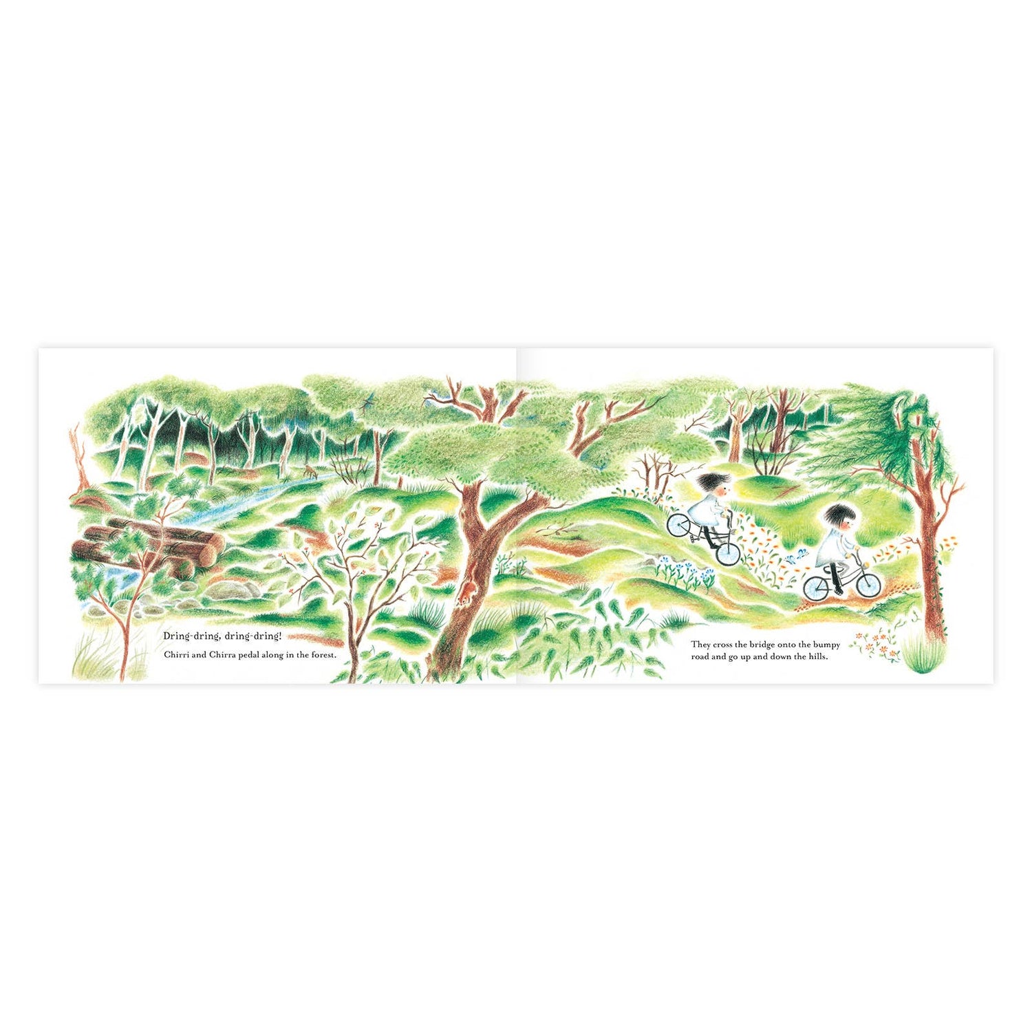 Chirri & Chirra Children's Book  | Enchanted Lion Books