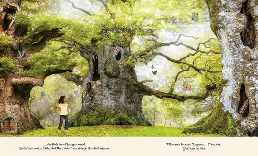 Through the Fairy Door Children's Book | Abrams