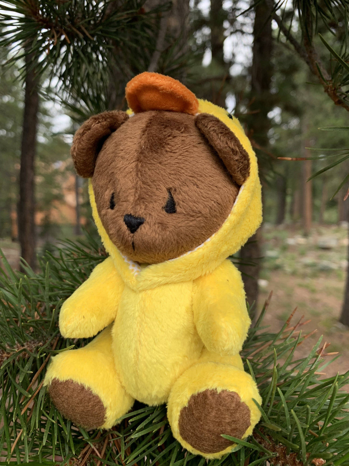 Frank and Bubby 6" Teddy Bear in Duck Costume Plush- Heirloom Toy