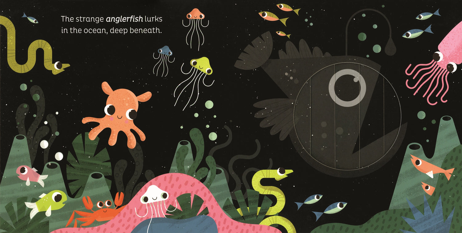 Magic Window, In the Ocean Children's Interactive Board Book | EDC Publishing