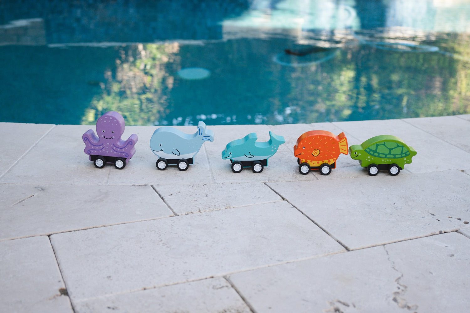 Pull-back Ocean Creature Racers 5 varieties | Jack Rabbit Creations