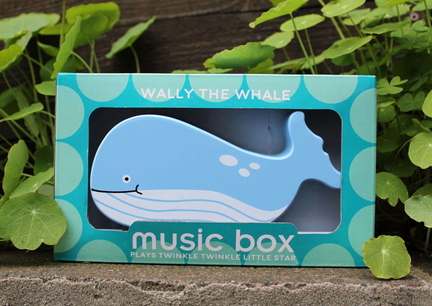 Wooden Whale Music Box | Jack Rabbit Creations