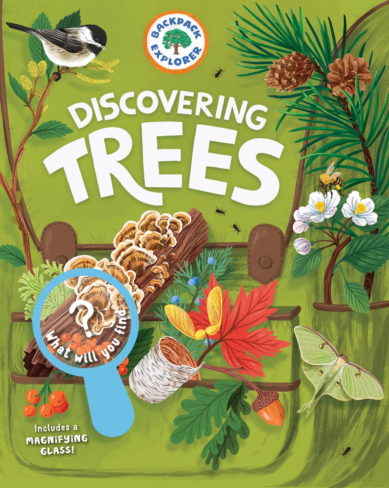 Backpack Explorer: Discovering Trees | Hachette Book Group