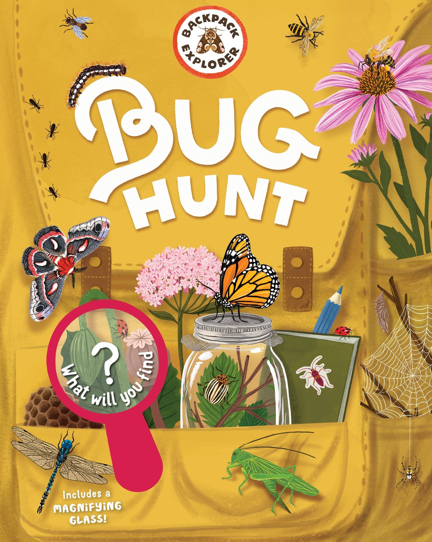 Backpack Explorer: Bug Hunt | Hachette Book Group
